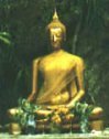 BWC Buddha